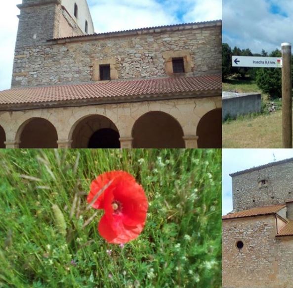 Viajando al ADN. Soria provincia, Judes e Iruecha.