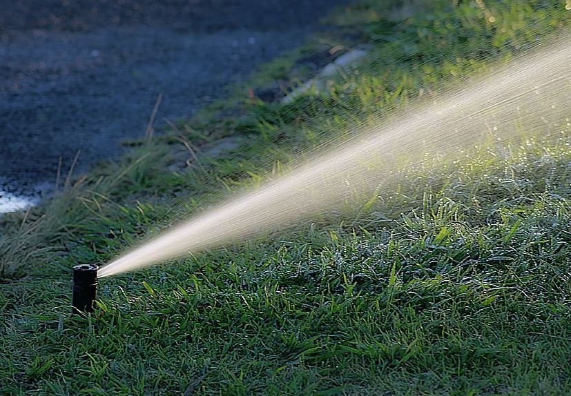 El paposo en la nueva normalidad