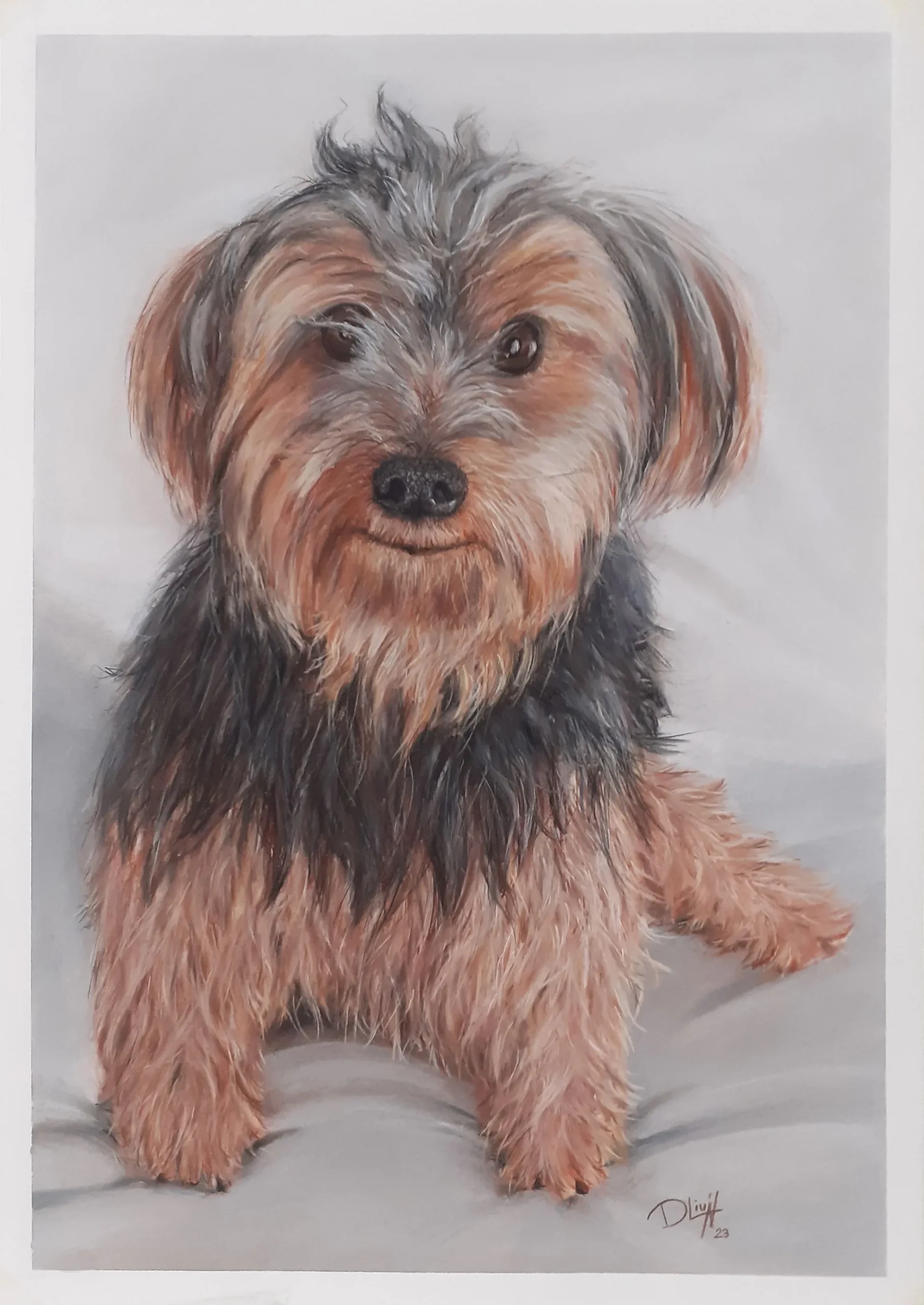 Retrato de Troya a pastel, obra de Diego Oliván